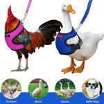 Coleira Colete para Frangos, Patos, Gansos ou Cachorros Pequenos