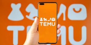 Temu: conheça a nova rival da AliExpress, Shein e Shopee no Brasil